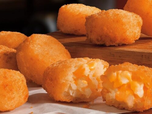 Free 4 Pc. Cheesy Tots with Purchase of $1 or More